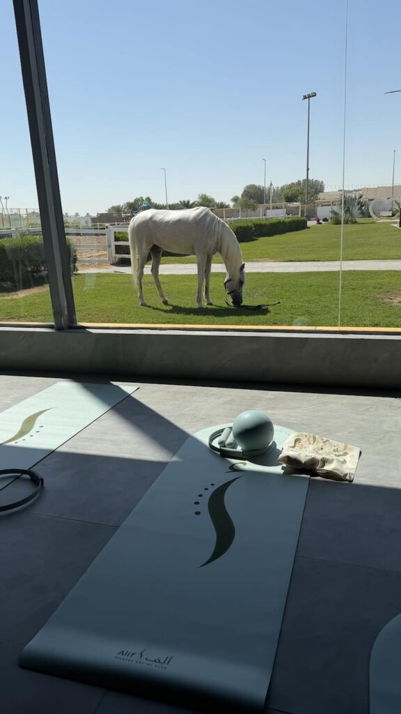 Pilates with a view of the horses
